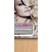 22" Deluxe Double Wefted Clip In Human Hair Extensions #24 Golden Blonde 22" Deluxe Double Wefted Clip In Human Hair Extensions #24 Golden Blonde